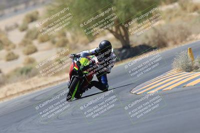 media/May-14-2023-SoCal Trackdays (Sun) [[024eb53b40]]/Turn 5 Tree of Life (1125am)/